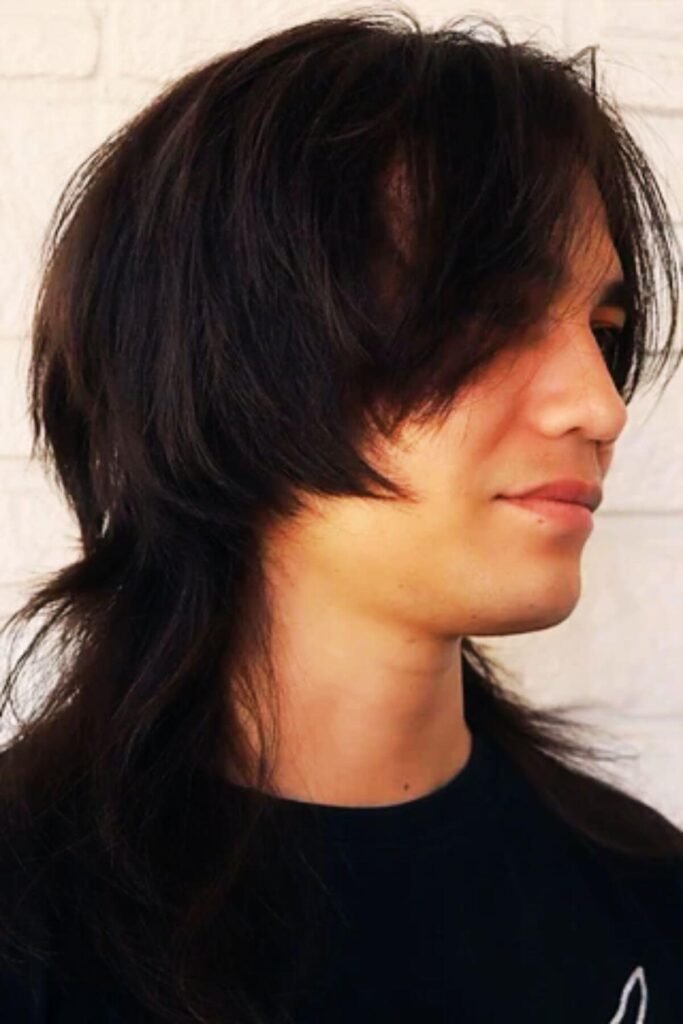 Wolf Cut Mullet Long Hair for Men