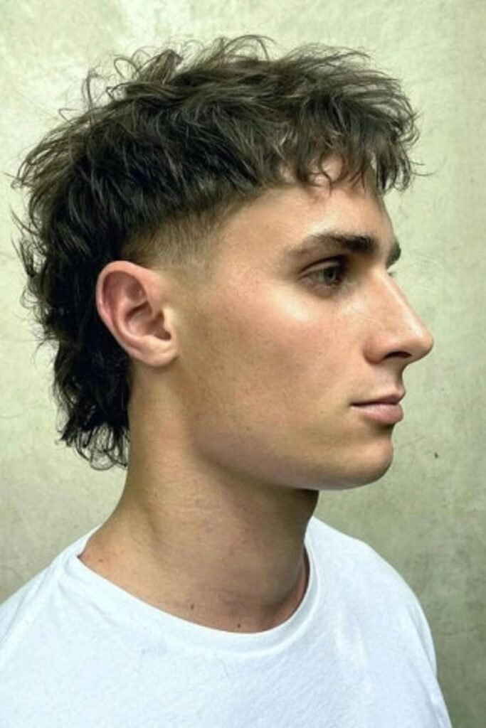 Mullet Fade Haircuts for Men