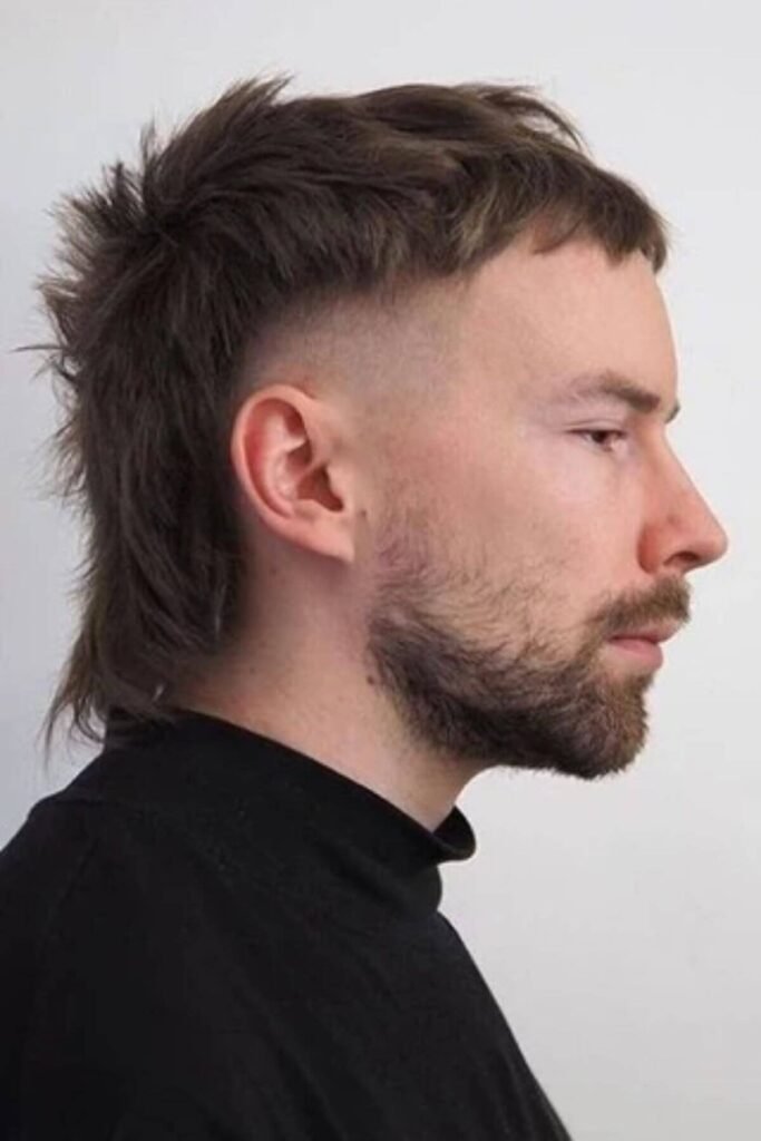 Mullet Fade Haircuts for Men