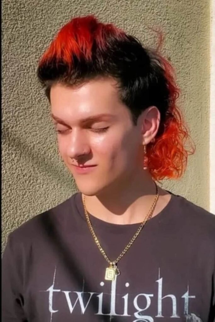 Long Faux Hawk Mullet for Men